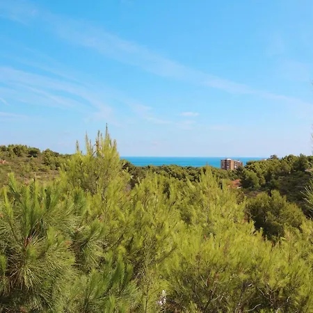 La Florida Lm 4p By Carlosferien * Denia